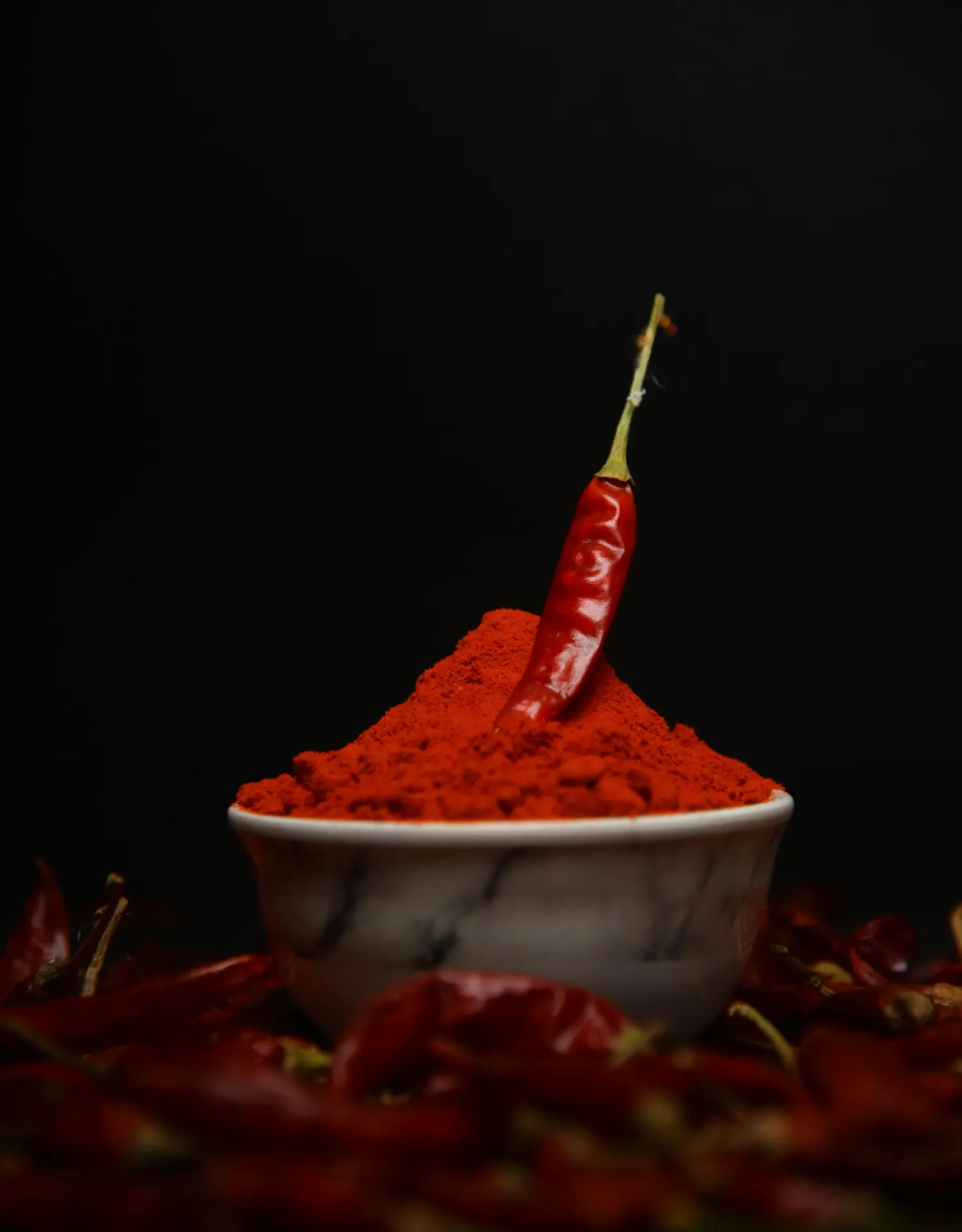 Ceylon Spice Trade