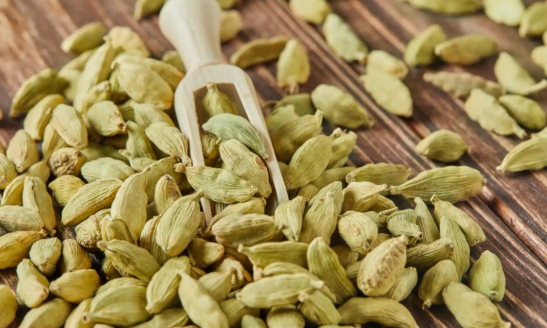 Cardamom