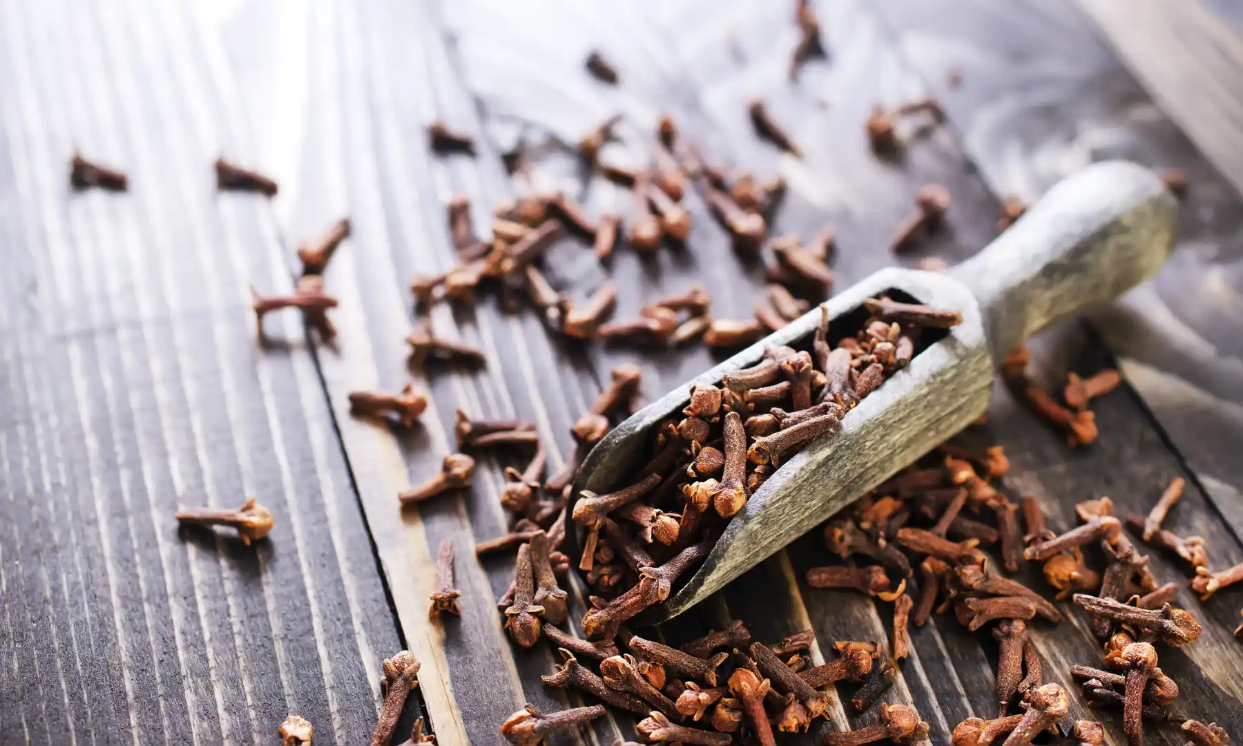 Ceylon Spices