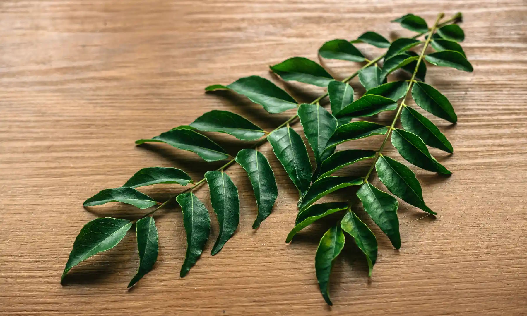 Herbs & Leaf Products